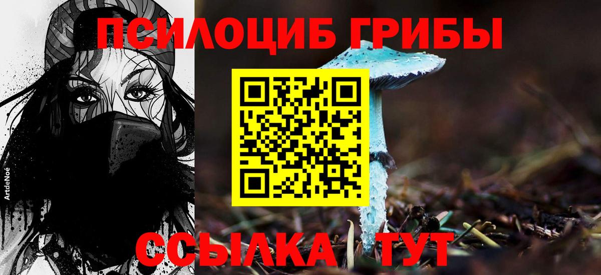 Псилоцибиновые грибы прущие грибы Россошь