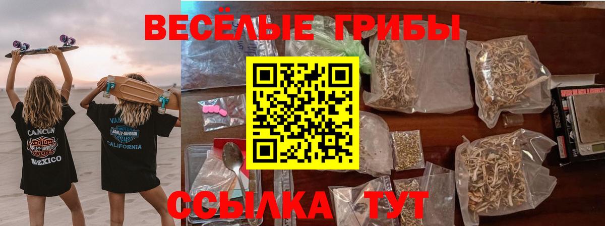 Россошь  Галлюциногенные грибы MAGIC MUSHROOMS  Вход с VPN 